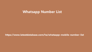 Whatsapp Number List