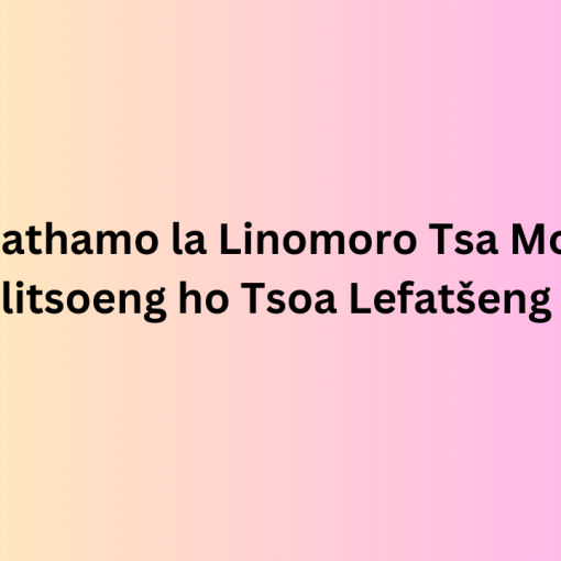 2024 Lethathamo la Linomoro Tsa Mohala tse Nchafalitsoeng ho Tsoa Lefatšeng Lohle