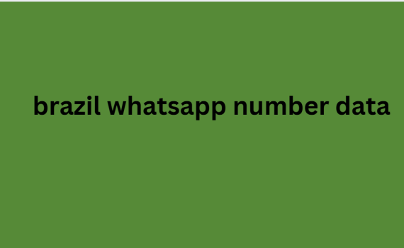 brazil whatsApp number data