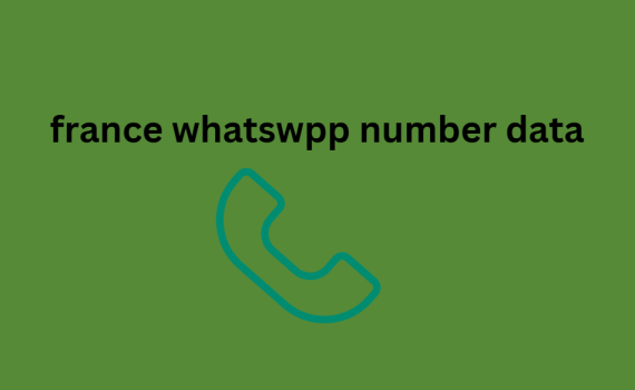 france whatsapp number data