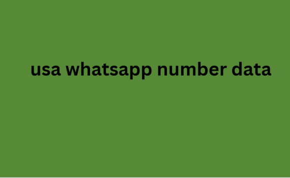 usa whatsapp number data