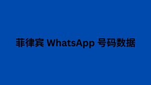 菲律宾 WhatsApp 号码数据 